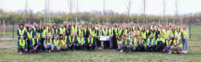 50 stabala za 50 godina Frikoma