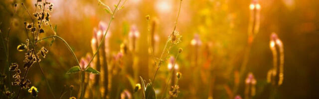 ​У Србији сутра топло за ово доба године