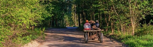 Zapregom pokušao da pređe reku u Prahovu i nestao! Našli konja, od vlasnika i dalje ni traga