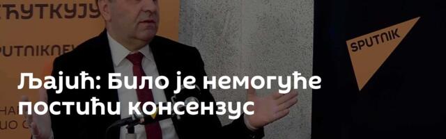 Љајић: Било је немогуће постићи консензус
