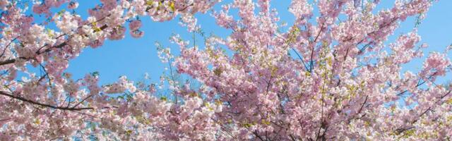 Danas počinje proleće