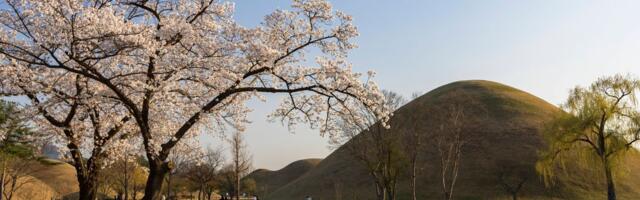 Cele porodice ubijali u čast plemstva: I elita i žrtvena kasta kraljevine Sila praktikovale incest, otkrio DNK