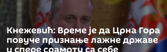 Кнежевић: Време је да Црна Гора повуче признање лажне државе и спере срамоту са себе