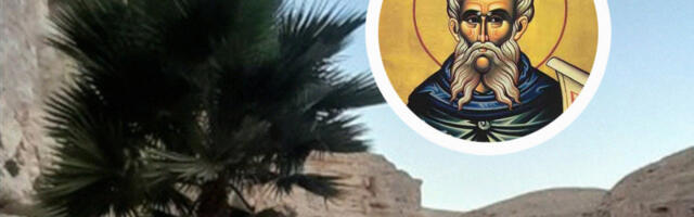 ONA JE JEDNO OD NAJVEĆIH ČUDA PRAVOSLAVLJA I MNOGIMA JE ŽIVOT PROMENILA IZ KORENA: Šta je čudotvorna palma Svetog Save Osvećenog, kako do njenih listova i kome najviše pomaže?