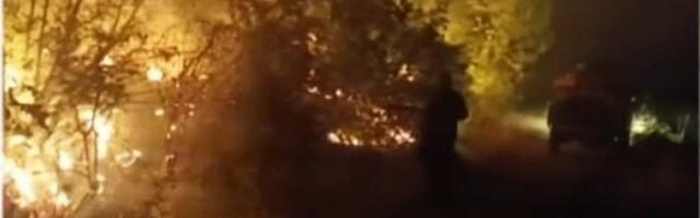 Veliki požar kod Trebinja: Vatrogasci brane sela, celu noć se borili sa vatrenom stihijom (VIDEO)