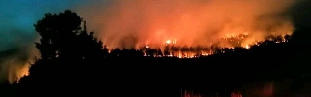 Požar na Murtenici, meštani se plaše da će doći do kuća
