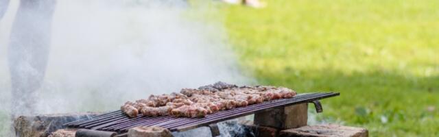 Kako da napravite sjajan roštilj na kampovanju