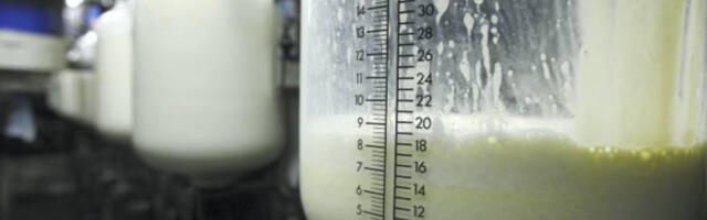 Млекарство између тржишта и протеста: шта заиста показују подаци о ценама, увозу и положају произвођача