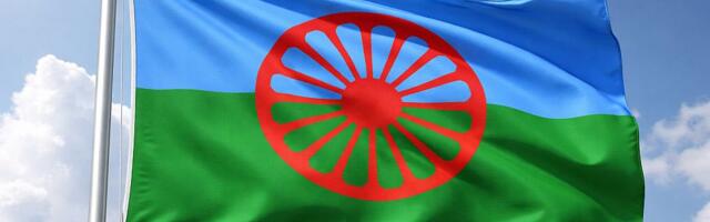 Poverenik inicirao da svakog 8. aprila čas u školi bude posvećen kulturi i istoriji Roma