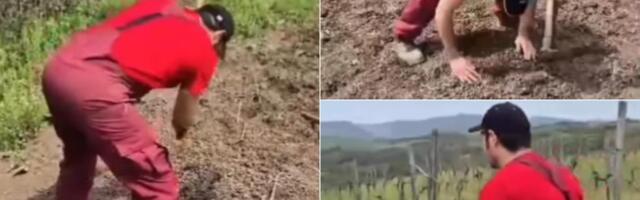 Kubura zasadio više od 1.000 čokota loze, pa se pohvalio: Glumac se iz Beograda preselio u Poljnu kraj Kraljeva, a ovako izgleda njegovo seosko imanje