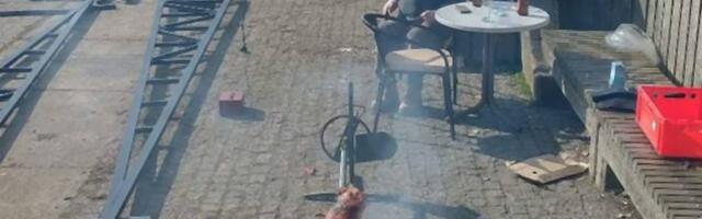 Ljudi dele sliku čoveka koji je "okrenuo" praseće pečenje na novobeogradskom keju i ovo se već prečesto dešava
