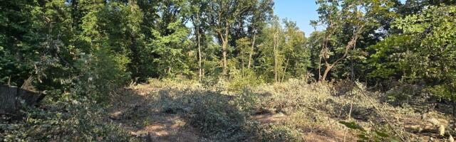 Popović (SSP): Da li lojalista SNS Vladimir Mandić stoji iza nelegalne autoperionice na Košutnjaku