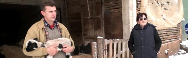 Zamenio Pariz za KRČIMIR! Anđelo (28) napustio francuski luksuz da bi čuvao ovce na Suvoj planini: Evo i zašto