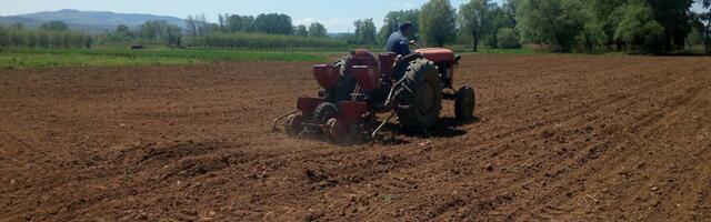 Podnošenje zahteva za subvencije po hektaru počinje danas i traje do 1. aprila