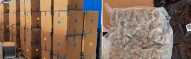 Три особе из јужног Велса ухапшене, заплењено 12 тона канабиса