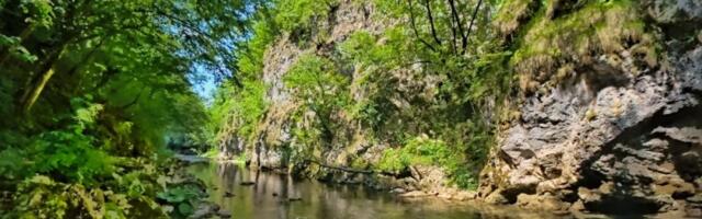 Zaboravite na Grčku i skupo more: Najčistija reka u Srbiji ima plaže od kojih zastaje dah, a prenoćište košta šokantnih 700 dinara!