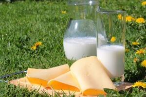 Уведене увозне таксе на млеко и качкаваљ