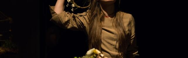 Predstava  Stara planina  u Pozorištu za decu i mlade