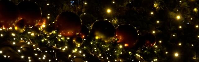 Da li je ovo najlepše okićeno dvorište u Srbiji? Ovoliko sijalica ne može da se prebroji!