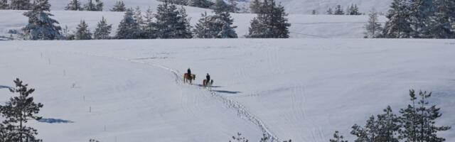 AMSS upozorava vozače: Sneg se ubrzano topi, pa odroni postaju češći