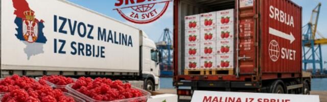 Srbija više nije izvoznik broj 1 malina u svetu! Pretekle su nas 2 zemlje!