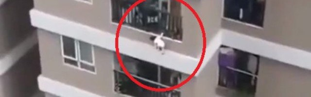 (VIDEO) DEVOJČICA JE VISILA SA BALKONA 12.SPRATA I POČELA DA PADA: Ljudi su vrištali, a onda se desio NEVEROVATAN PREOKRET