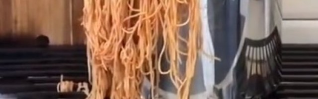 AKO STE NA DIJETI NE GLEDAJTE OVAJ SNIMAK! Ovako izgleda kad neko STVARNO VOLI DA JEDE!