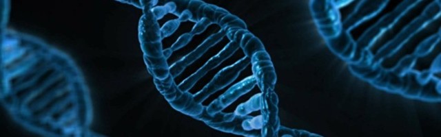 Идентификован ген који штити од ковида: ХЛА-ДРБ1*04:01 штити од болести