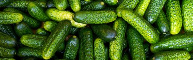 Nova bruka: Treći put hrana iz Srbije zaustavljena na granici EU