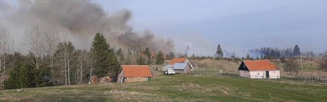 Ugašen požar u prijepoljskom selu Babine, izgorelo preko 100 hektara