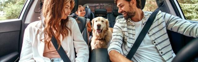 Šta treba da znate pre nego što krenete na more sa ljubimcem