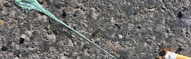 Novi Sad pere trotoare za skoro 100.000 €: Grad objavio rat žvakama