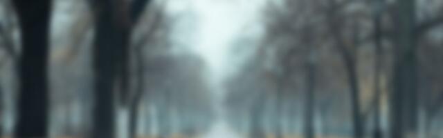 Nedelja oblačna i tmurna, prekrivena maglom: Najviša dnevna danas do 8 stepeni