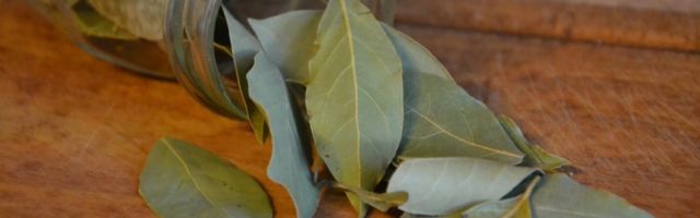 MELEM ZA BOLOVE U ZGLOBOVIMA: Čaj od lovorovog lista je lak za pripremu, a ima odličan uticaj na organizam!