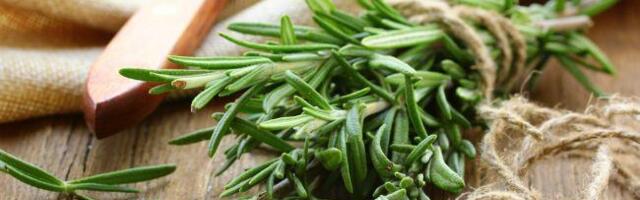 Beograđanke masovno kupuju ruzmarin na pijacama! Guraju ga u tegle sa pirinčem, evo u čemu je fora