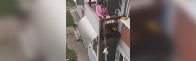 SNAŠLE SE U DOBA KORONE: Dve komšinice preko užeta dodaju jedna drugoj pitu i kiflice (Video)