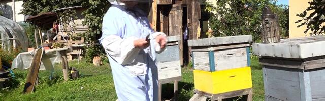 Dobrinin med – recept za dug život (VIDEO)