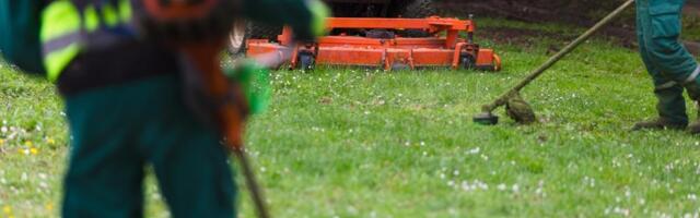 Koliko često treba kositi travnjak tokom godine: Mnogo je više nego što ste mislili