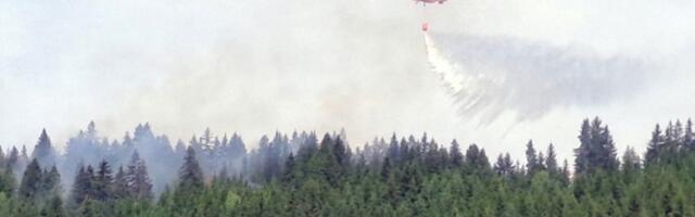 Bukti veliki požar kod Kladova, MUP reagovao
