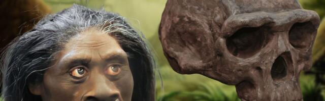 Utvrđeno zašto su izumrli hobiti