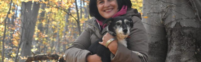 Kerković: Prihvatilište za pse postaje zabranjena zona i kazamat za koji građani daju milione