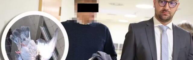 Bivši vojnik u Beču pucao na ptice se balkona: Umesto na glinene golubove, pucao na žive
