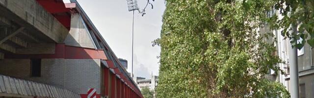Nakon stručne analize: Obnavlja se drvored kod stadiona "Karađorđe"