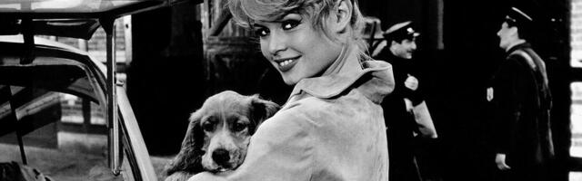 Sahrana Brižit Bardo iduće nedelje u Sen Tropeu