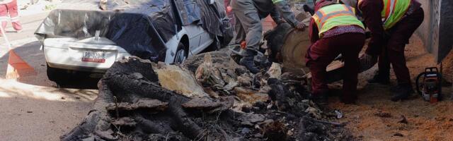 IMA POGINULIH U U MEKSIKU! Pogledajte kako je razoran zemljotres pogodio južni i centralni deo zemlje - sve se ljuljalo (VIDEO)