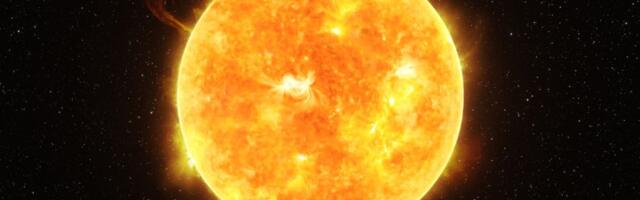 Sunce je u Ribama: 3 znaka očekuje nalet sreće do 20. marta