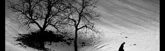 Reditelj Gregor Božič u fokusu dvanaeste revije Dani slovenačkog filma