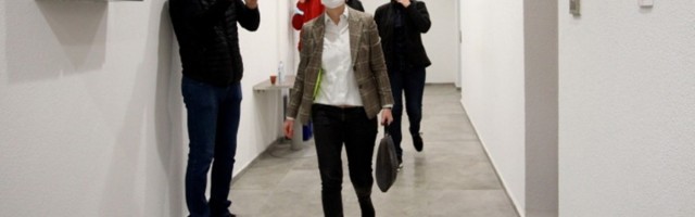 Mandić bi da bude Brnabić, primera radi