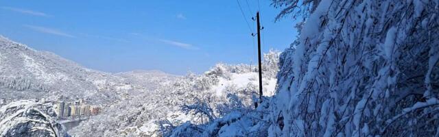 Vučević: Država, vlada, predsednik i SNS će analizirati rad nekih ljudi