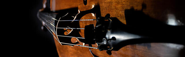 Carinici na aerodromu “Nikola Tesla” kod putnika pronašli violončela stara preko 200 godina